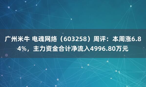 广州米牛 电魂网络（603258）周评：本周涨6.84%，主力资金合计净流入4996.80万元