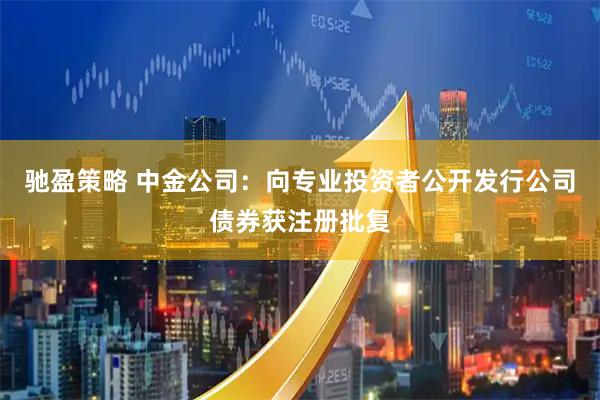 驰盈策略 中金公司：向专业投资者公开发行公司债券获注册批复